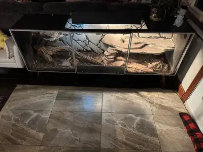 Reptile enclosure + reptile, View more