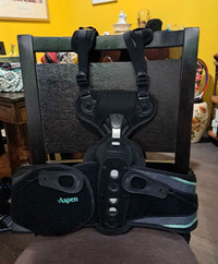 New Aspen Vista 464 TSLO Back Brace