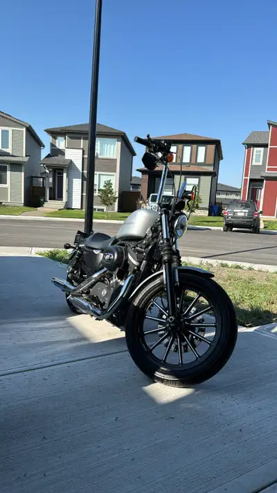ONLY SELL need money, NOT GOING TO REPLY FOR LOW BALLS Harley Davidson sportster 883 2010 3rd owner...