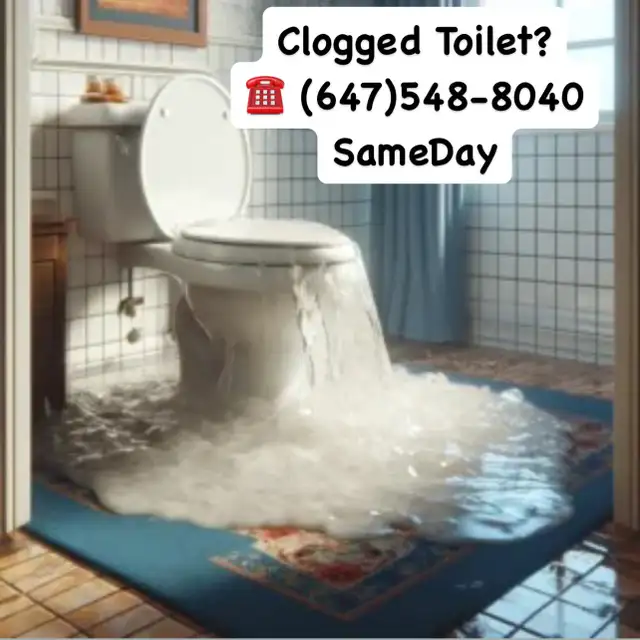 ✅✅Plumber☎️(647)548-8040 Clogged Drains? SameDayPlumbing in Plumbing in Mississauga / Peel Region - Image 6