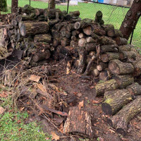 Free wood (mix of ash and elm)