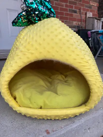 Whisker City Pineapple Hut, View more