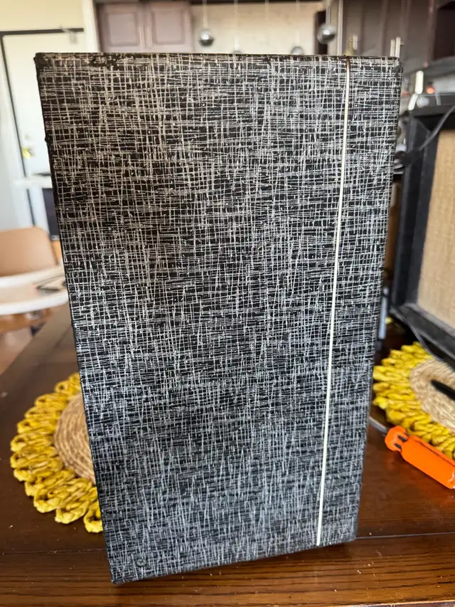 Pine Electronics Pepco Regal guitar tube amplifier in Amps & Pedals in City of Toronto - Image 5