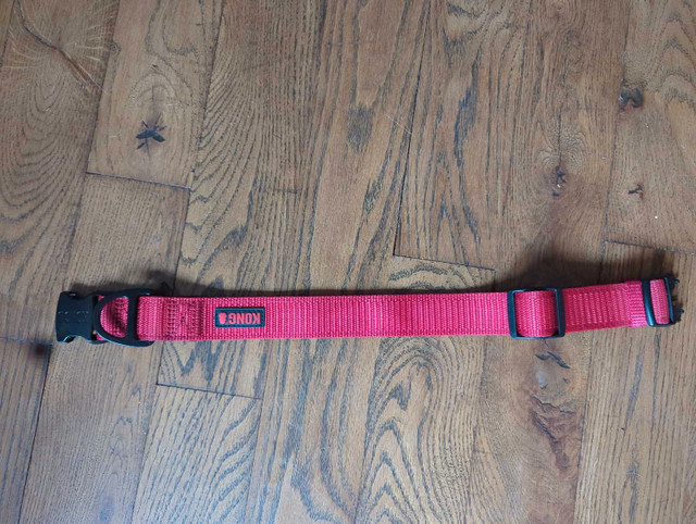 Kong dog collar size large  in Accessories in Kingston