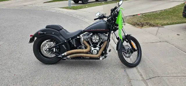 harley davidson blackline in Street, Cruisers & Choppers in Calgary - Image 4