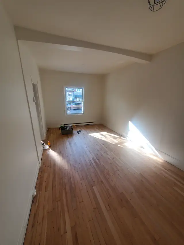 Painting & Plastering Quality Work64241767300737121