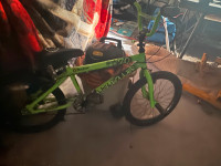 For sale kids bmx razor fs20