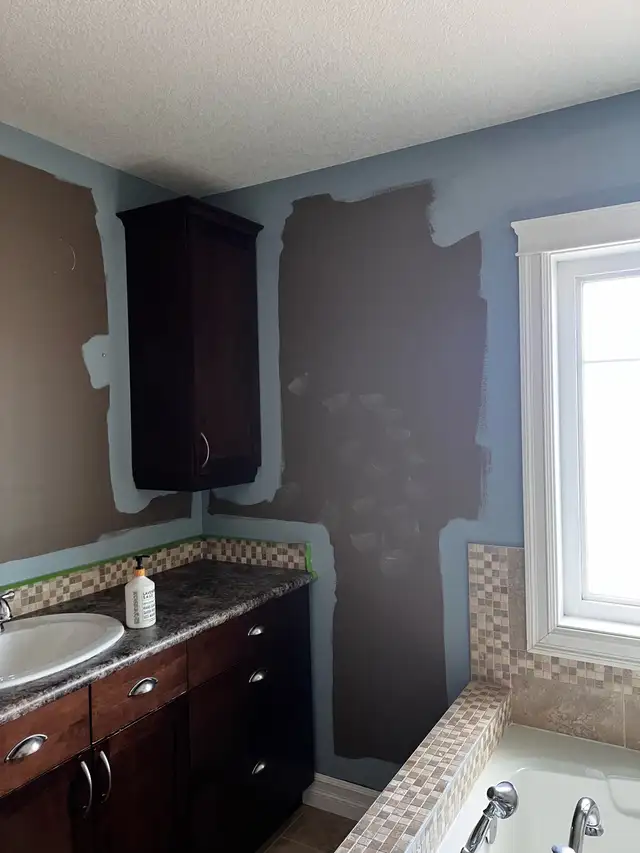 professional painter63005662392321124