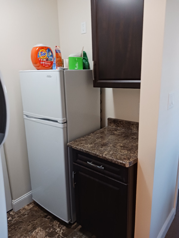 $650 Female Student  Room For Rent June 1st 2024 in Room Rentals & Roommates in Pembroke - Image 4