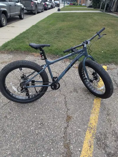 Raleigh Rogue Fat Tire Bike, View more