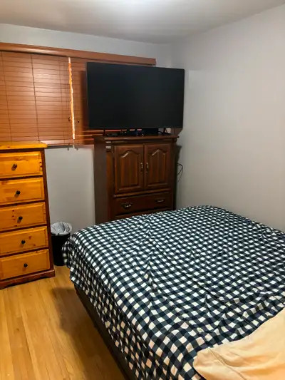 room to rent