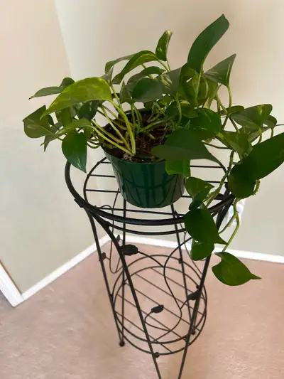 Vintage Black Iron Plant Stand 3 feet tall x 1 foot wide., View more