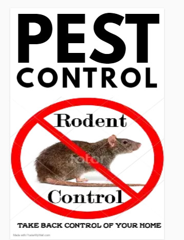 Pest Control, low price for Rats, mice, 226-341-9093 cockroach in Other in Hamilton - Image 3