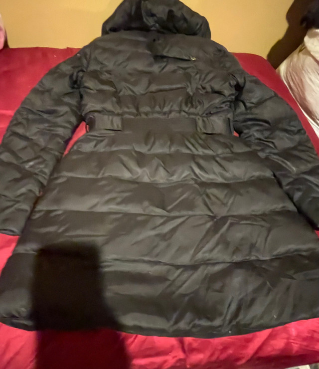 Women  M/size Winter Jacket  in Women's - Tops & Outerwear in Regina - Image 3