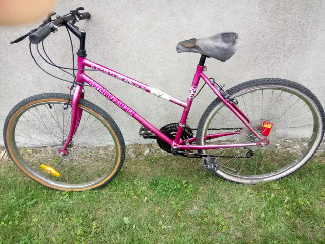 Bicyclettes in Road in Lanaudière - Image 2