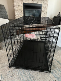 Cage Chien 