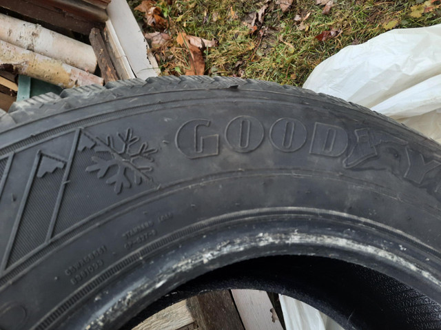 Ford Escape Winter Tires in Tires & Rims in Napanee - Image 2