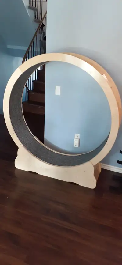 CAT WHEEL LARGE 52 INCH DIAMETER LARGE CAT WHEEL FOR SALE BOUGHT FOR THE YOUNGER OF MY 2 CATS AND SO...