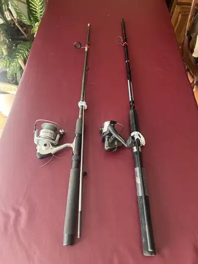 fishing rod and reel, View more