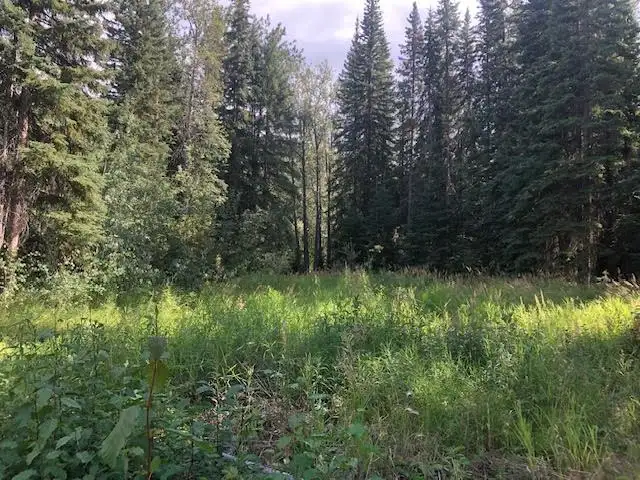 Lot for Sale in Rock Creek in Land for Sale in Whitehorse - Image 8