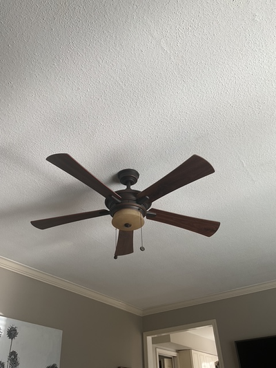 ceiling fan with light works great