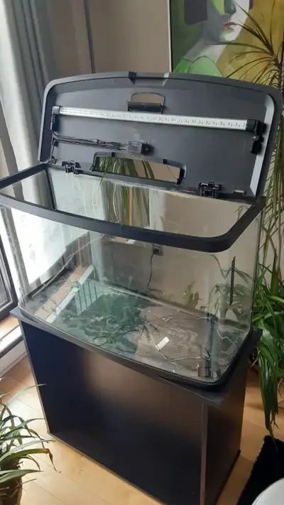 Aquarium Fluval Vista 23 gallons, View more