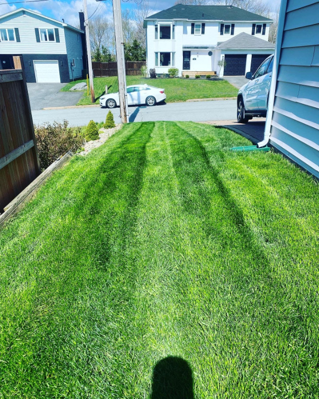 The MOST Affordable Weekly Lawn Care Service! in Lawn, Tree Maintenance & Eavestrough in Dartmouth - Image 4