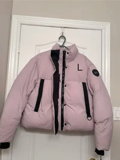 Canada goose , View more