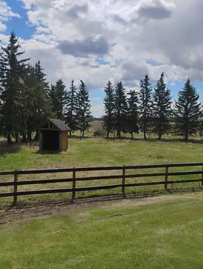 13 acres of premium horse pasture 15 minutes north of Edmonton. Suitable for up to 6 horses with wat...