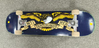 Anti-Hero Classic Eagle Blue Adult Skateboard