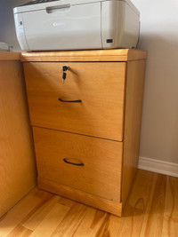 2 drawer oak filing cabinet with key