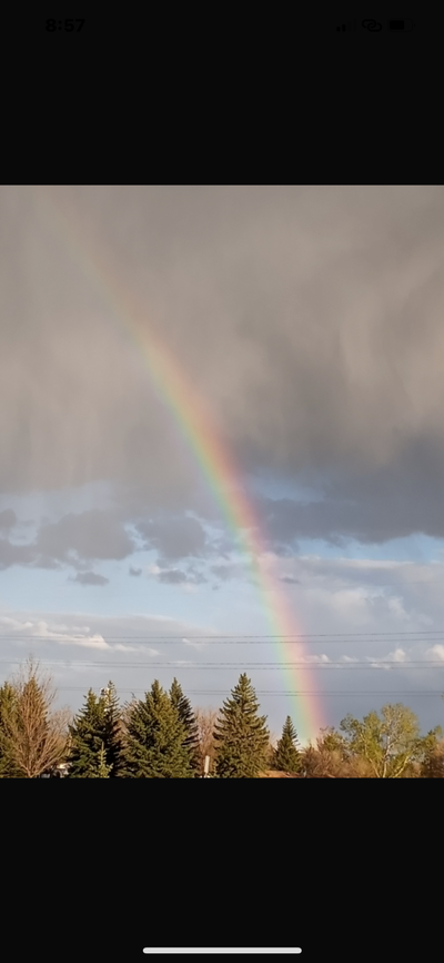 Fun friend, View more