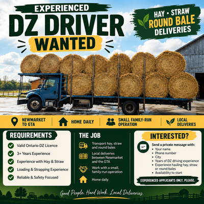 Experienced DZ Driver Wanted – Newmarket to GTA, View more