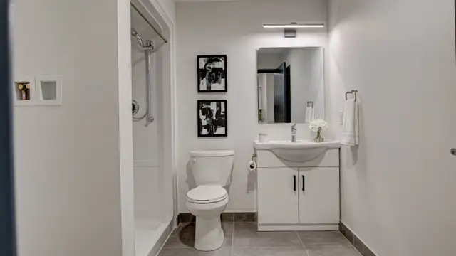 298 Hemlock St - Fall 2026 Rental in Long Term Rentals in Kitchener / Waterloo - Image 5
