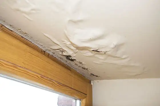 ROOF REPAIR WATER LEAK LEAK SEAL ROOF FLAT SHINGLE TILE62863220889601123