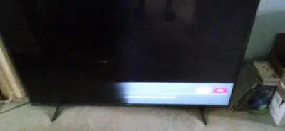 55" LG LED TV, power ON screen , IT HAS DISPLAY, but back ground led light on and off, led light nee...