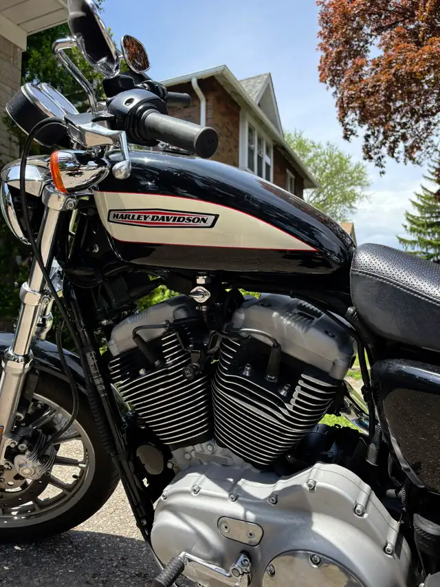 Harley Davidson Sportster XL1200 R in Street, Cruisers & Choppers in Mississauga / Peel Region - Image 7