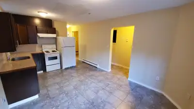 Comfortable and Convenient - 1 Bedroom Basement Suite