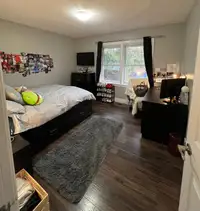 Room for rent in a 3 Bedroom apartment