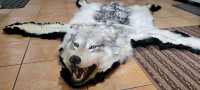 Canadian Arctic Wolf Skin Rug