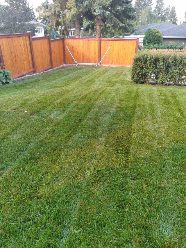 Lawn care in Lawn, Tree Maintenance & Eavestrough in Calgary