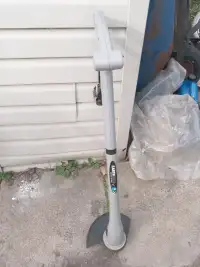 Electric weed whipper and a leaf blower