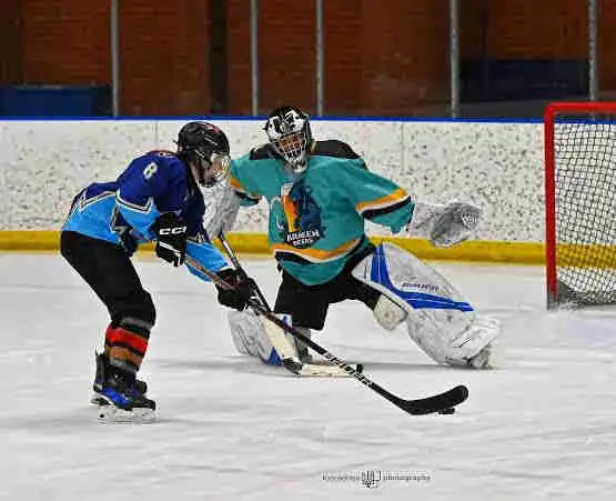 Shinny Hockey 