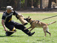 Bite Civil Dog Training Sleeves New