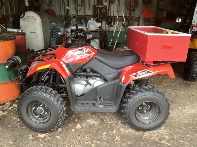 2015 Artic Cat 300 Quad for sale. Stored in a shed and was not used for years. It has very few mikes...