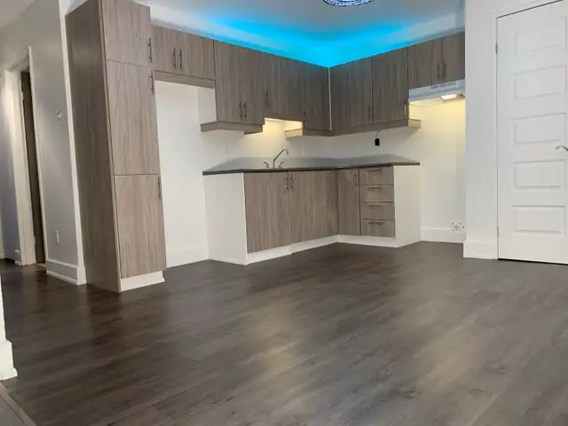 TRÈS TRANQUILLE, RÉNOVÉ 100%, 1225$, MAI…