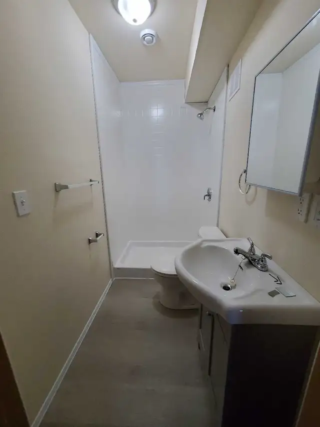 Handyman431102822932162563