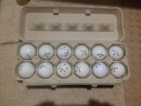 Golf Balls - Callaway - 12 balls