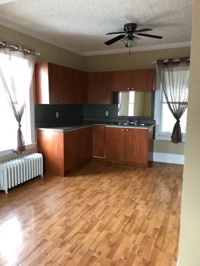 Large bedroom (loft) apartments for rent