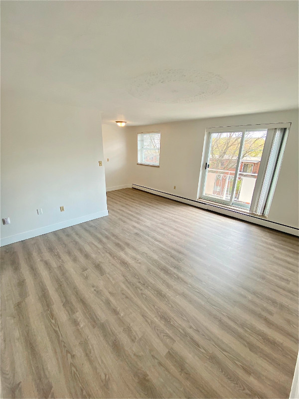 1BR RENOVATED apartment near McMaster (Westdale). $1549 in Long Term Rentals in Hamilton - Image 4
